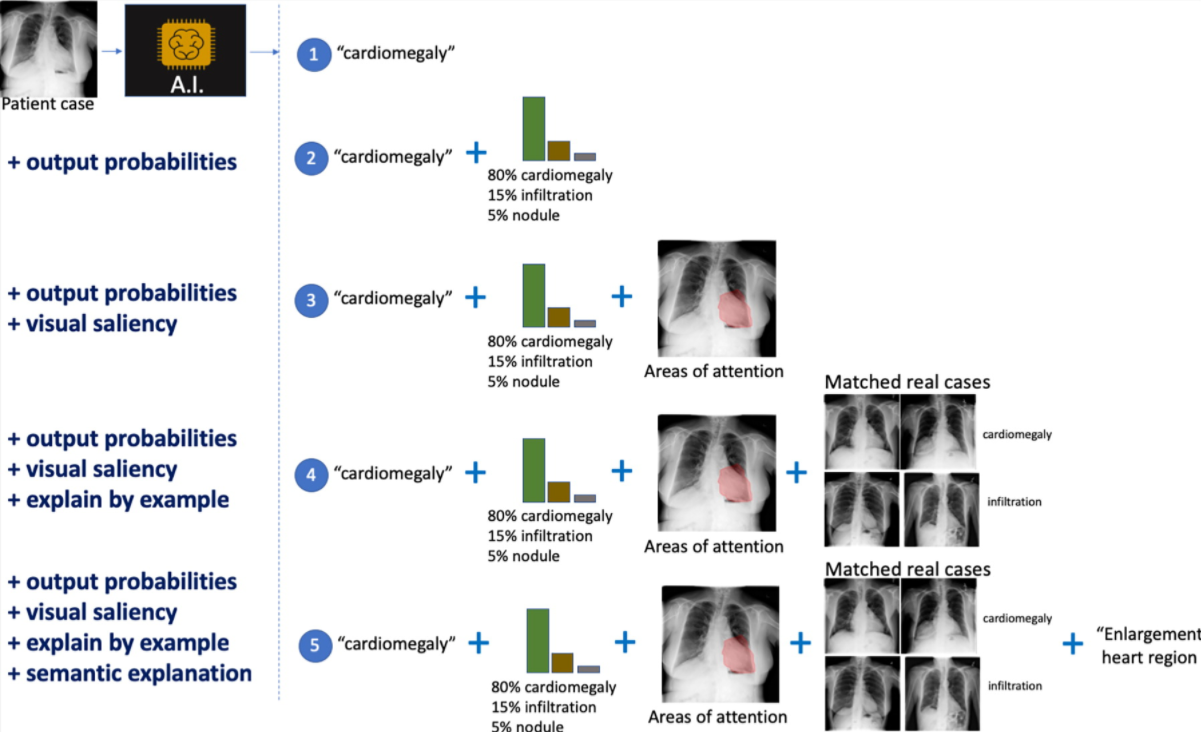 On the Interpretability of Artificial Intelligence in Radiology: Challenges and Opportunities