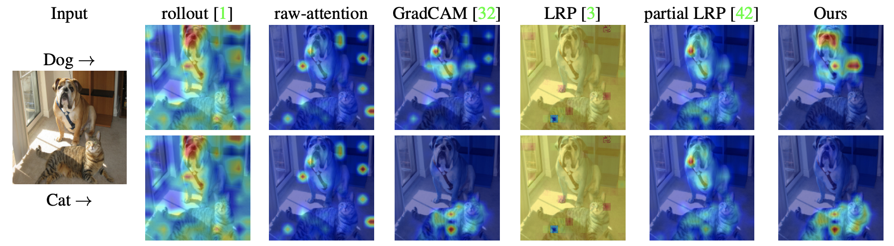 Interpretability