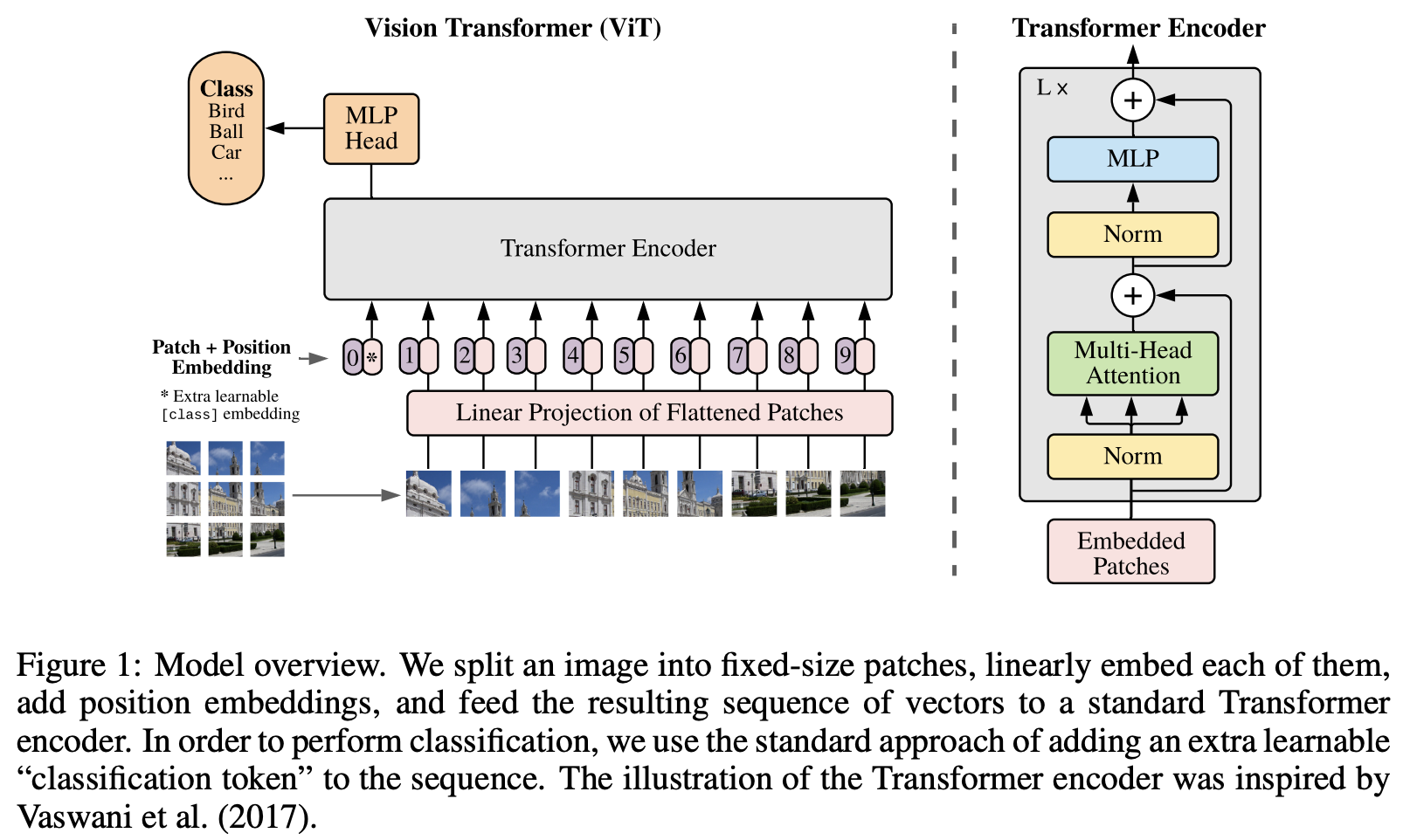 Vision Transformer architecture