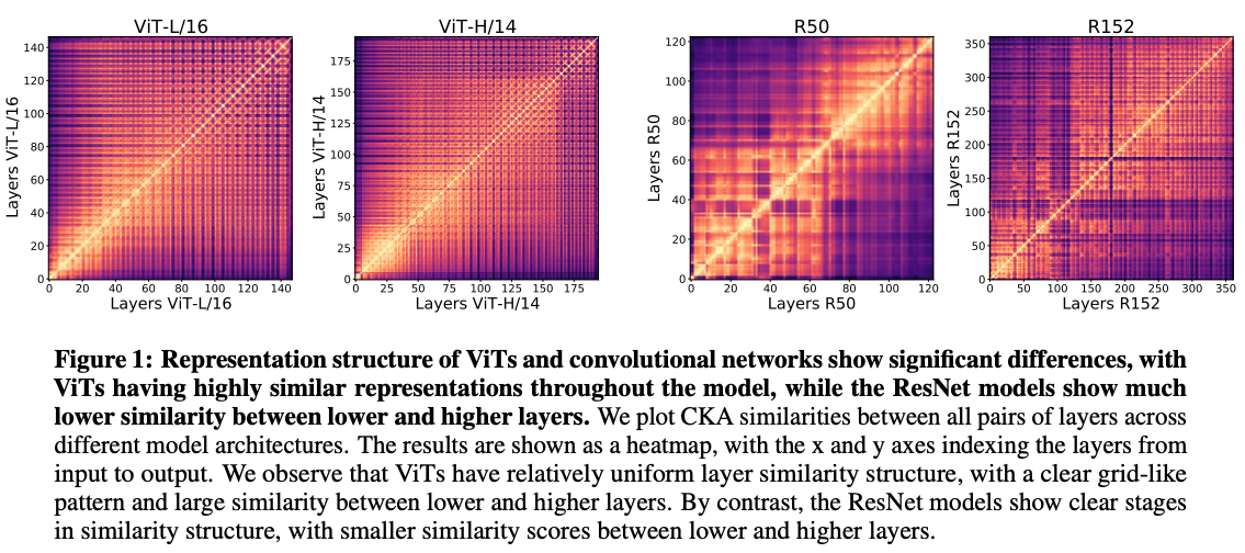 Transformer vs. ResNet internal representation