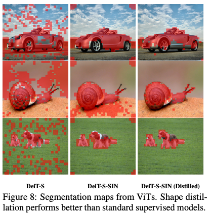 Transformer segmentation with shape token