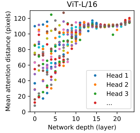 ViT head attention by layer